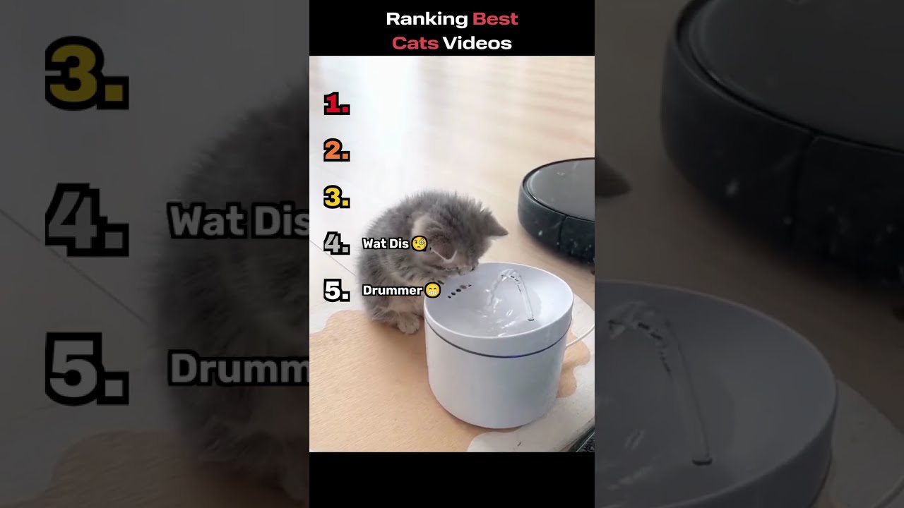 TRY NOT TO REACT SHORTS COMPILATION 😂😂 #3