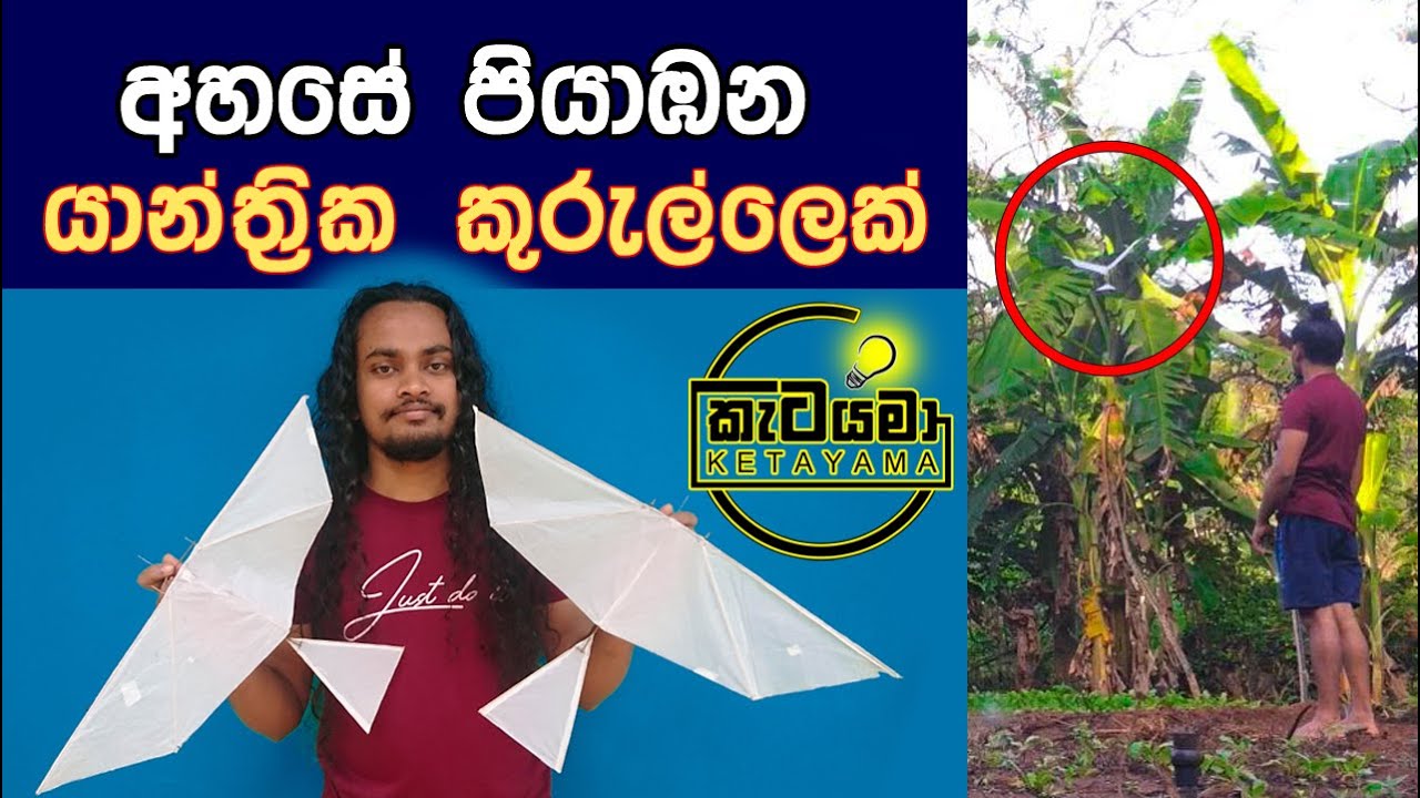 අහසේ පියාඹන සරල යාන්ත්‍රික කුරුල්ලෙක් හදමු / A simple mechanical bird that flies through the sky