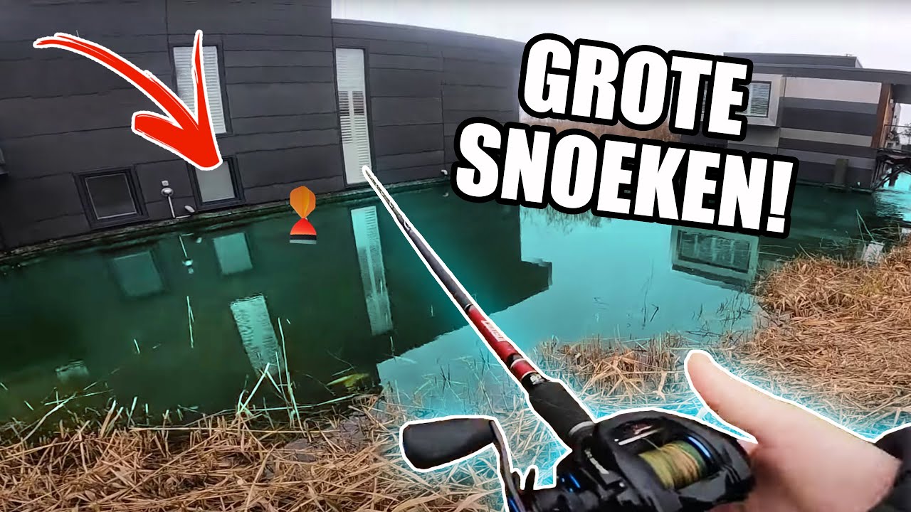 GROTE SNOEKEN Met DOOD AAS! (GEKKENHUIS!!!)