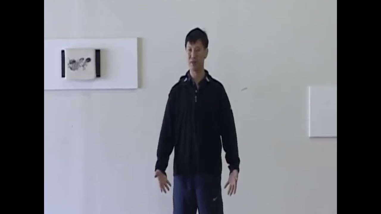 1 - Master Yang Jun - Opening & Ward off in Spanish