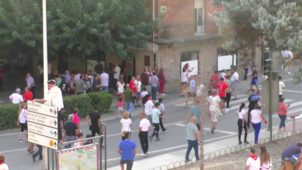 Lodosa, Angustias 2022, Directo Salida toro con soga 18:30, 17/09/22