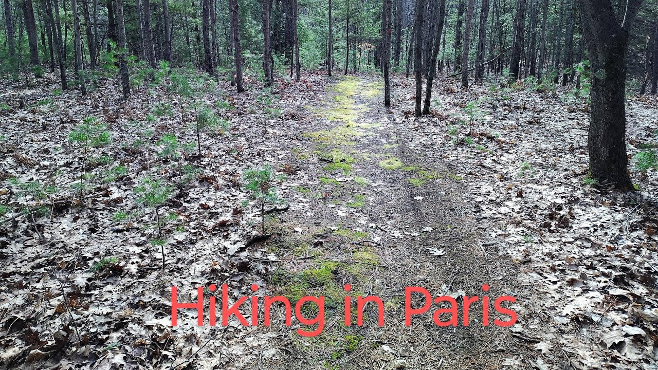 Hiking in the.... WHITE PINE VALLEY RECREATION AREA. Paris Michigan.