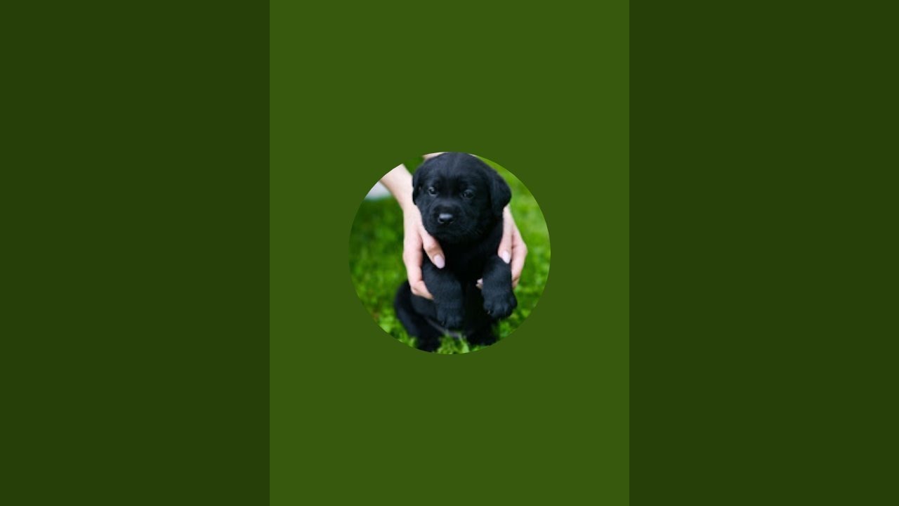 🔴 Blackybairav is live...🙏🙏