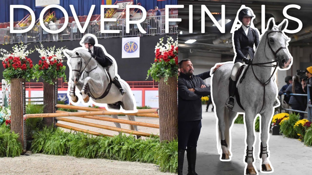 my last ever dover finals