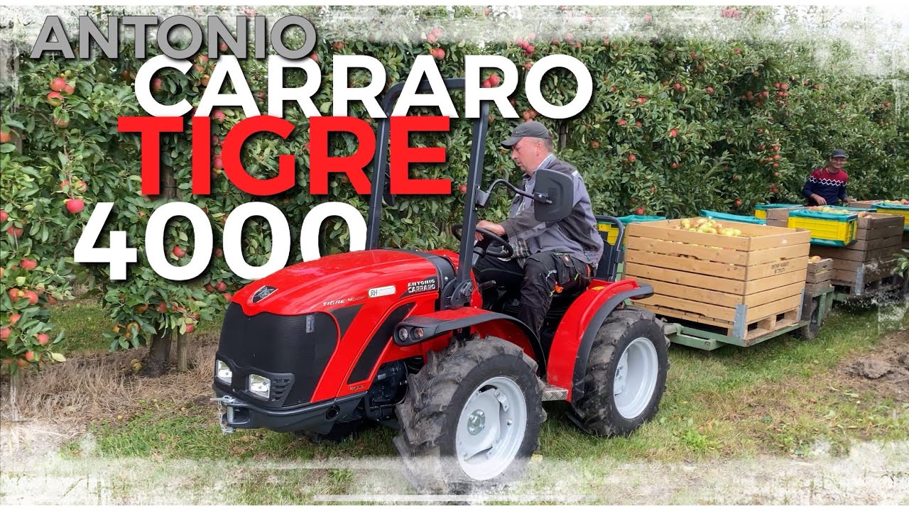 Obsthof Raddatz - ANTONIO CARRARO TIGRE 4000 I Wie macht er sich in der Ernte? I Hat er POWER?