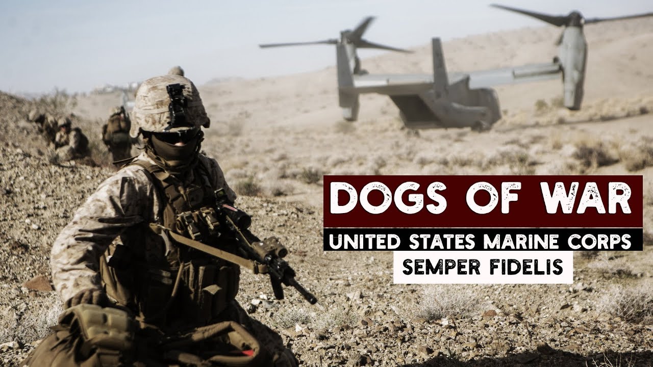 USMC | DOGS OF WAR