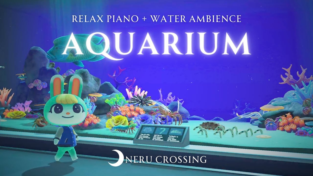【あつ森BGM】心を癒す水族館🫧🐬疲れた体をリラックスさせるピアノ音楽と環境音 piano+ambience【作業用BGM】【勉強用BGM】【睡眠用BGM】