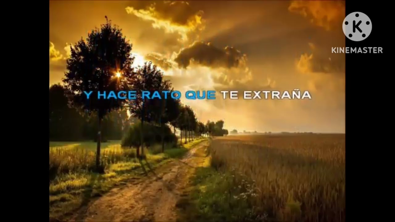 Zamba para olvidar todo bajo