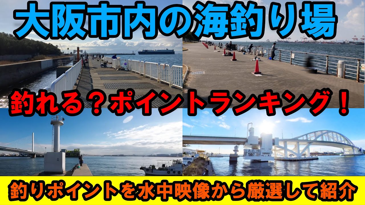 【ガチ検証】大阪の釣り場、魚影の濃さNo.1はどこだ！？水中カメラで徹底比較！