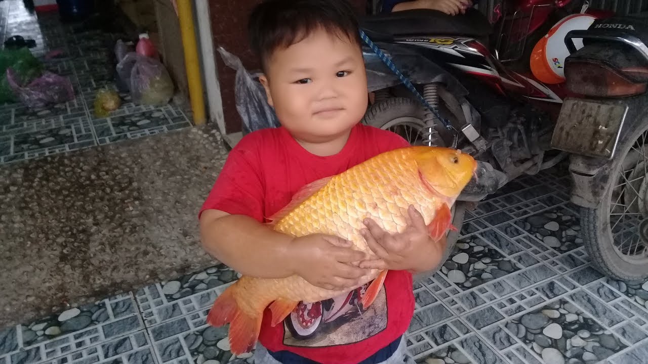 Đồ chơi trẻ em bé pin cá chép khổng lồ ❤ PinPin TV ❤ Baby toys carp giant