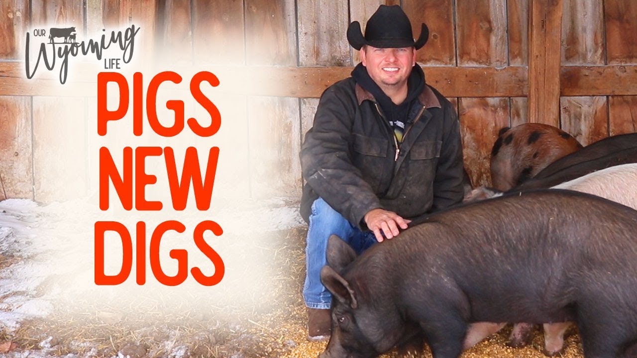 Building the Pigs a Place in the Barn - Project List