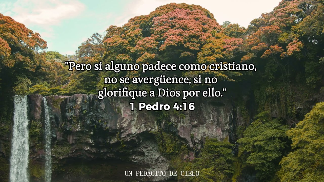 21 Días de Oración – Peniel | Día 10: Oración por Provisión y Confianza en Dios