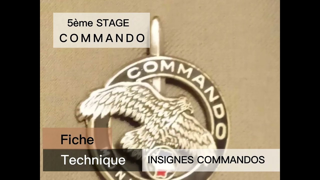 Les insignes Commandos