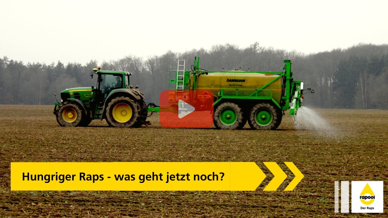 Hungriger Raps - was geht jetzt noch?