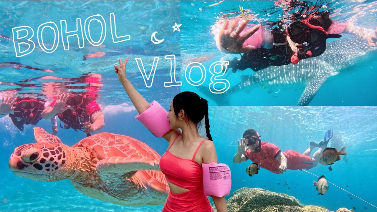 BOHOL 수영못하지만 스노쿨링 첫도전 물놀이 모음, 발리카삭 거북이, 물고기 밥주기, 릴라고래상어 balicasag 물속asmr