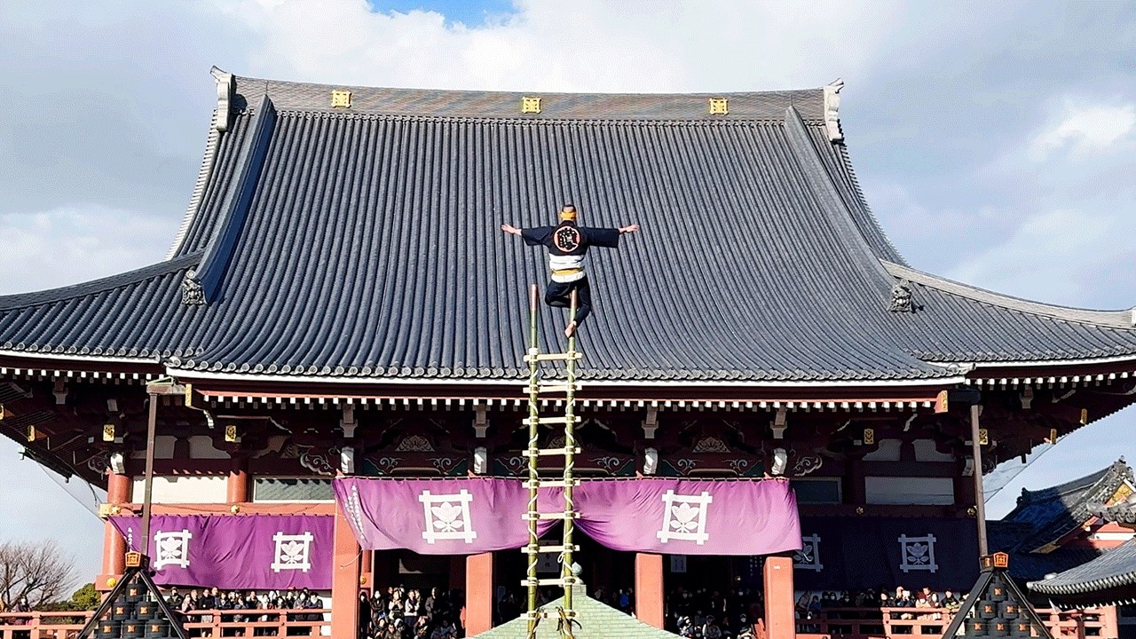 池上本門寺【 江戸の伝統芸 はしご乗り 】強風の高所で全36のスゴ技連発 !!! 鳶の妙技にシビれる !!!   大森鳶組合