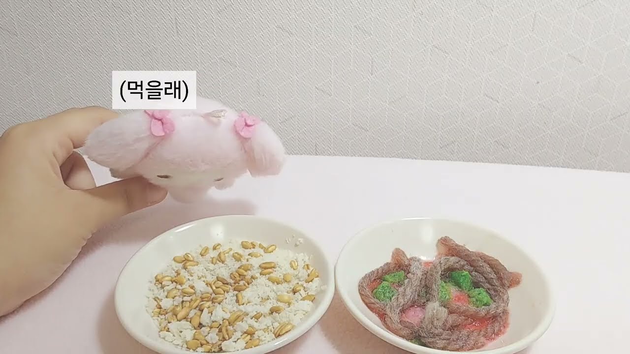 인형계 가을 플로깅 브이로그