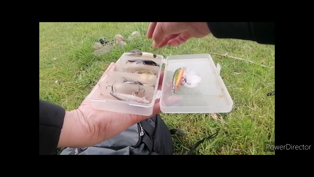 RAPALA PAVO REAL - VAMPIRO V/S RAPALA ARTICULADA JOINTED SILVER - SPINERS NARANJO