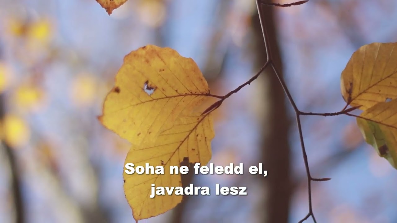 Örökkévaló szeretettel