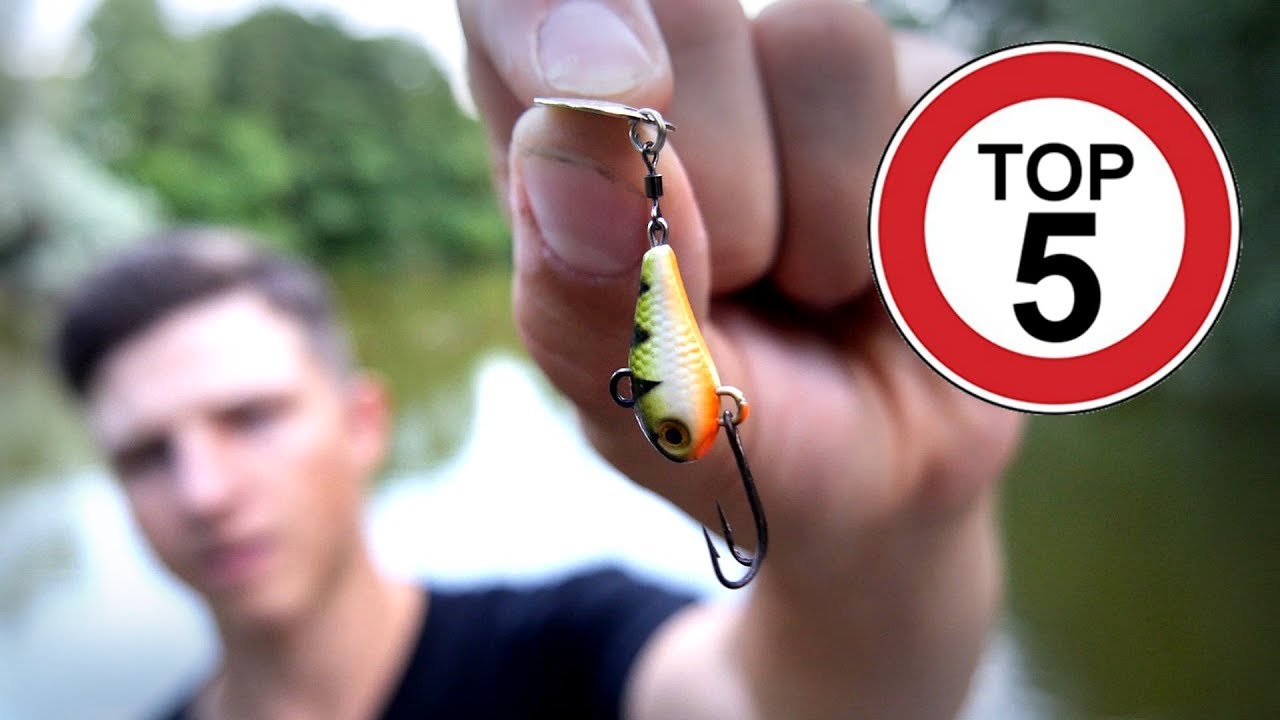 TOP 5 der Gro&szlig;barsch-K&ouml;der