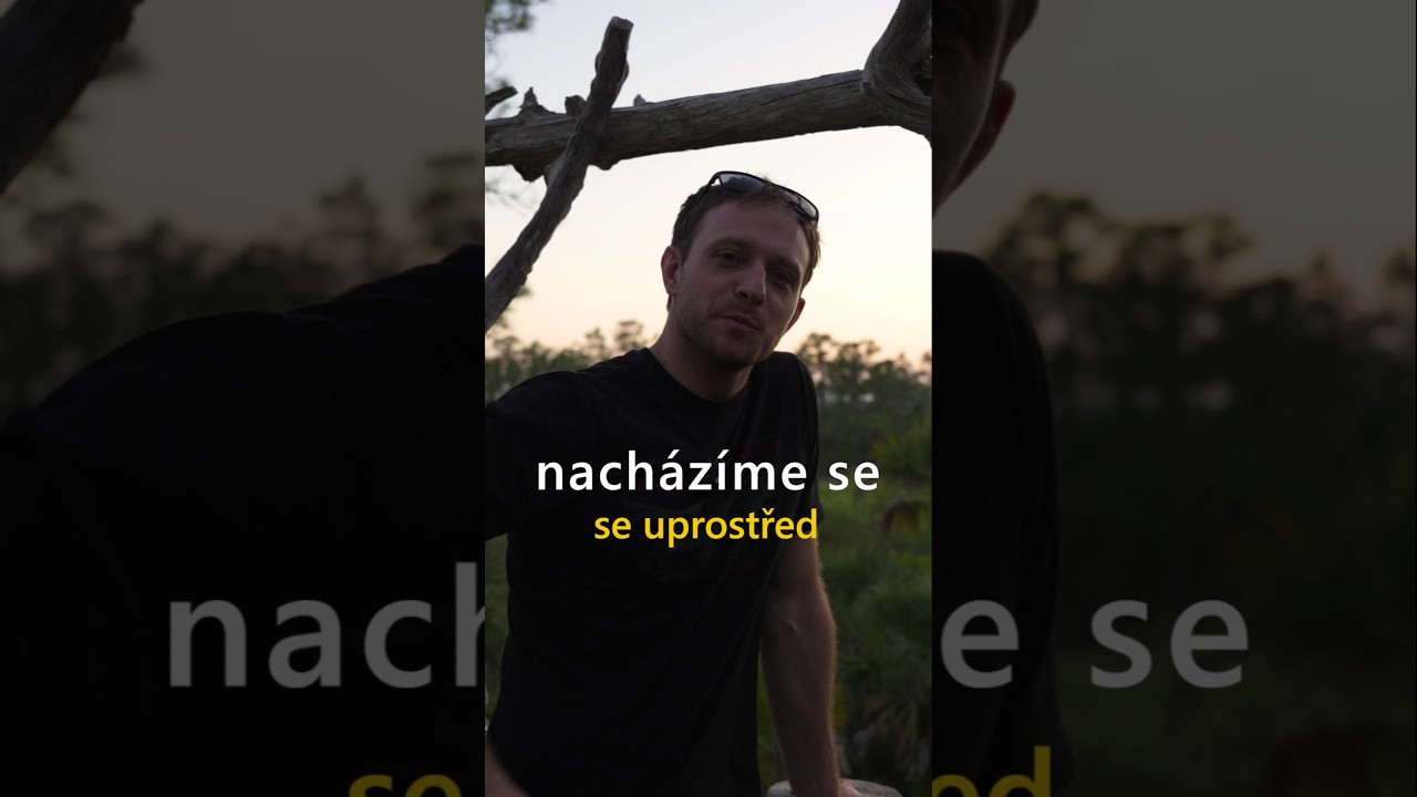 Slov&aacute;k žije v Americe 50 let | Slov&aacute;k uprostřed džungle + M1 Garand střelba | #mscrewpodcast