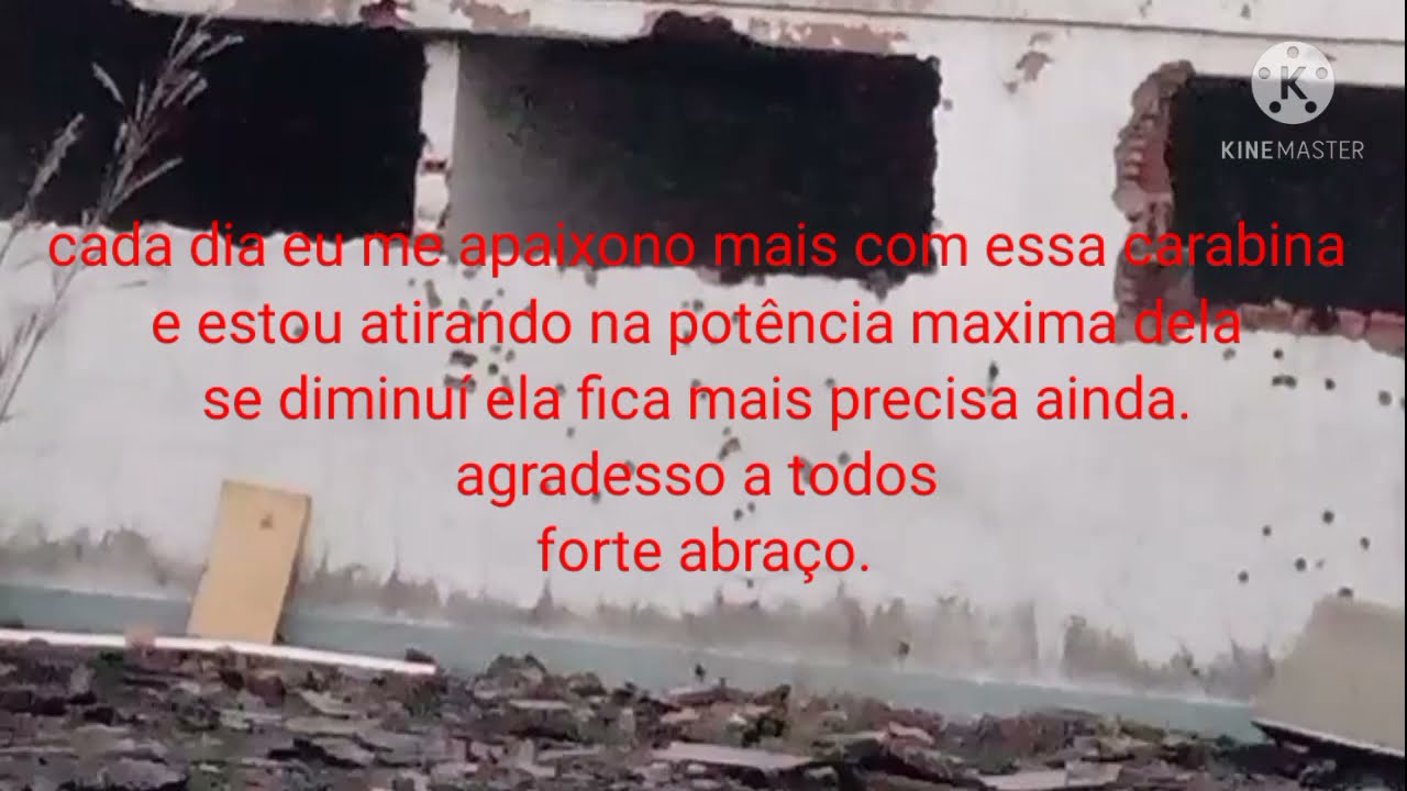 Beeman 1336 derrubando alvos a 30 m