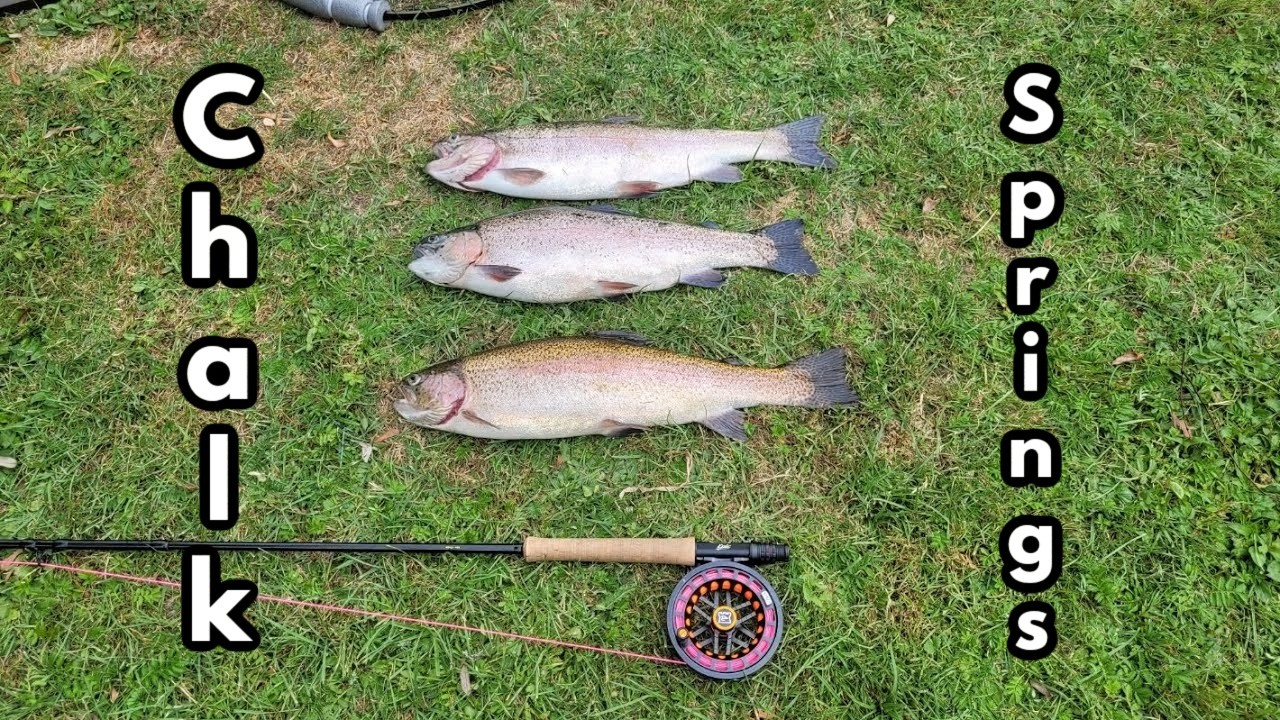 Chalk Springs Trout Fishery, And what a great Summer day was had, 3 very hard fighting Rainbow Trout