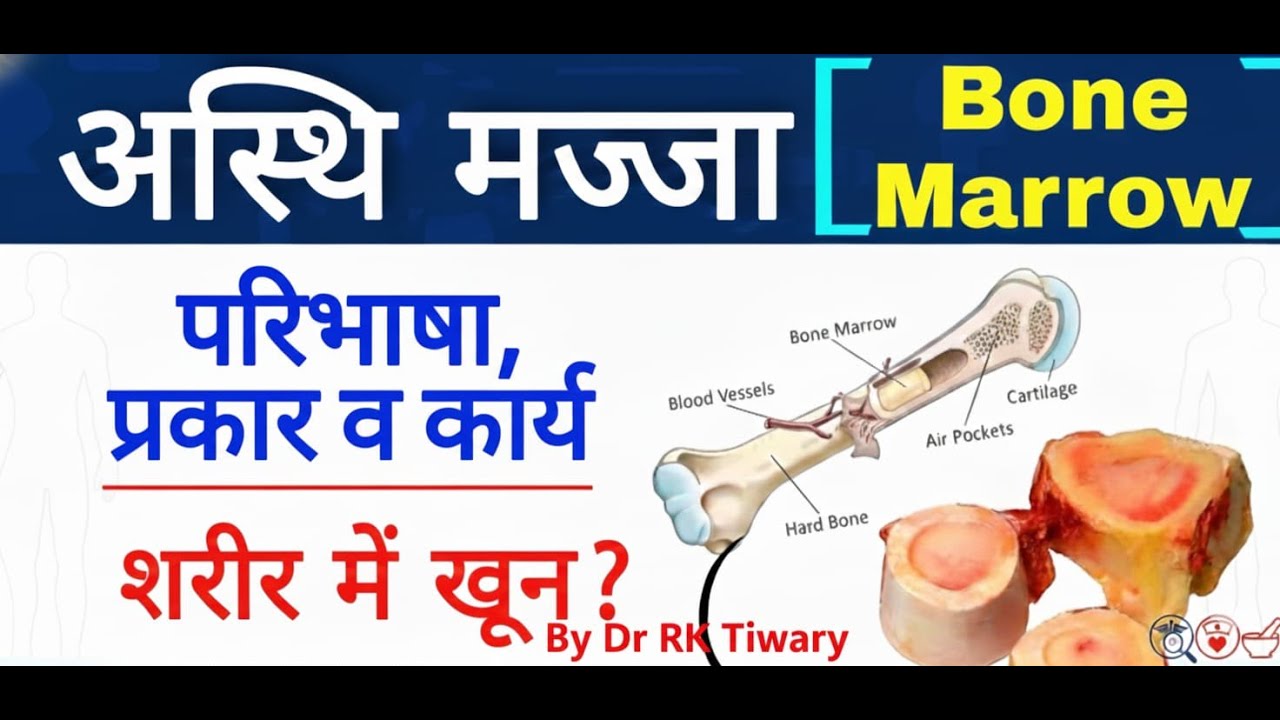 Bone Marrow Function I BNYS | BPT | CMD | OT | X-Ray students I HOSPITAL I NURSING I DOCTOR I NEET