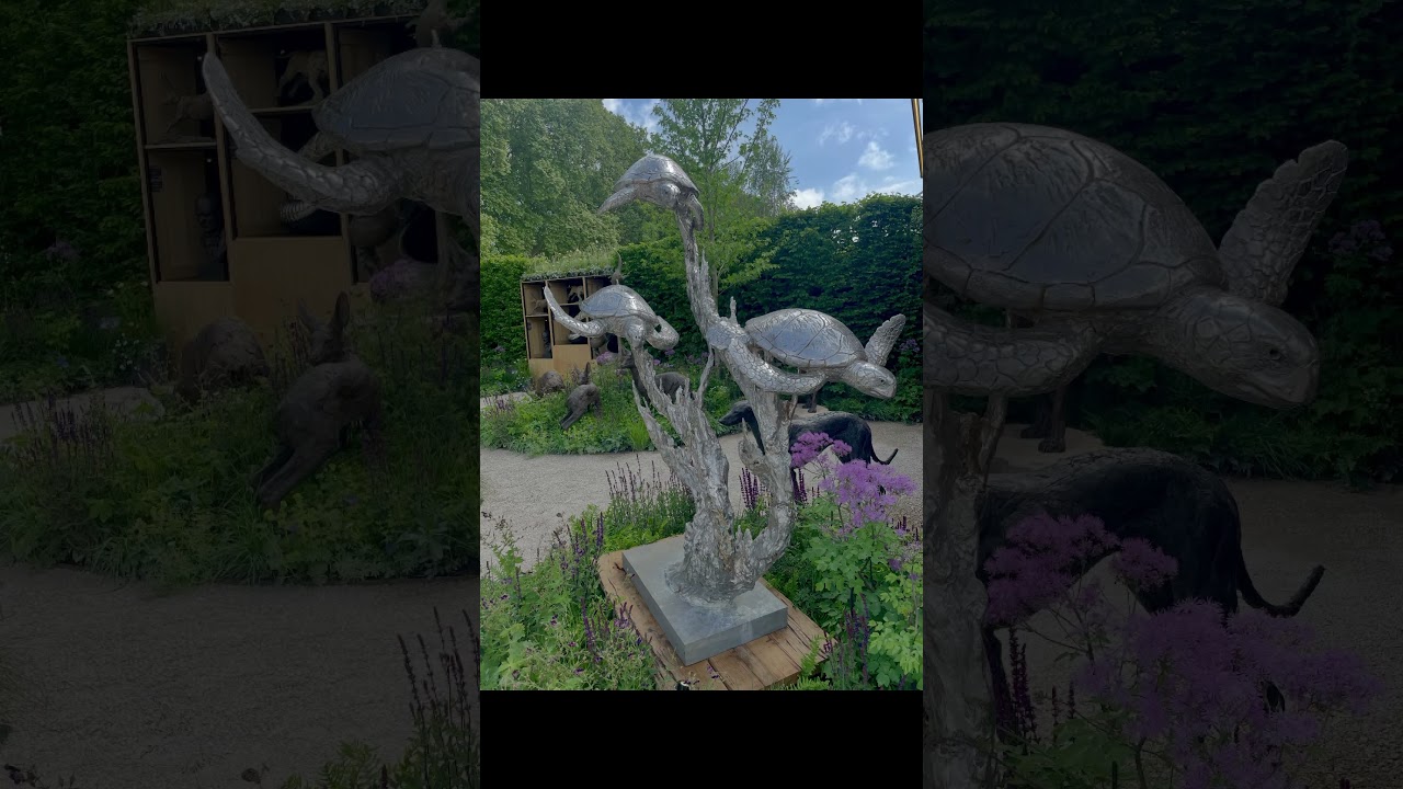 My Chelsea Flower Show Press Day Highlights #gardening #reels #shortvideo #chelseaflower #flowers
