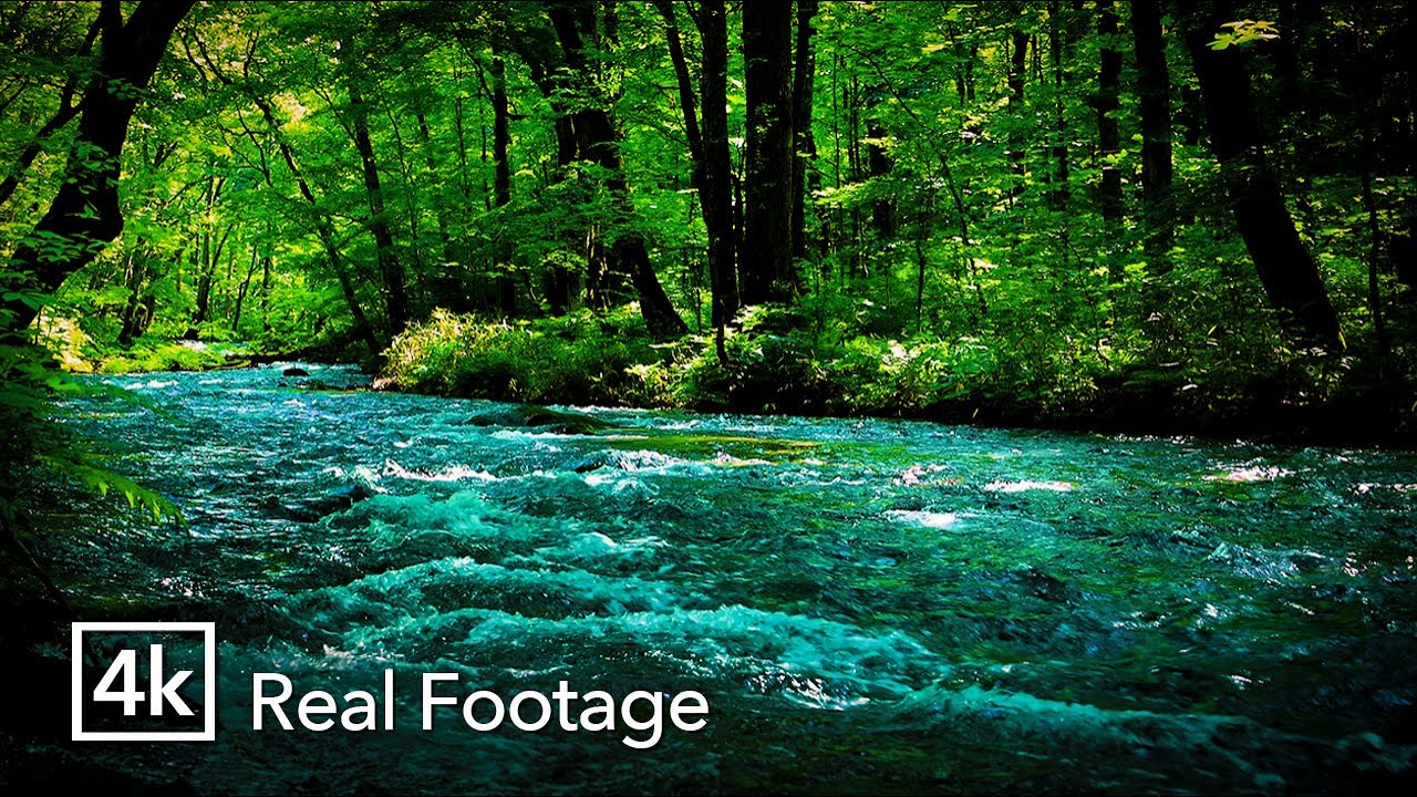 10 Hours of Gentle Forest Stream Sounds for Sleep | Real Nature Audio (No Music)