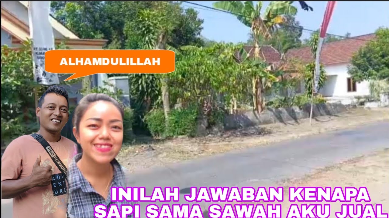 INILAH JAWABANNYA KENAPA HARUS JUAL SAPI & SAWAH KEMARIN...?