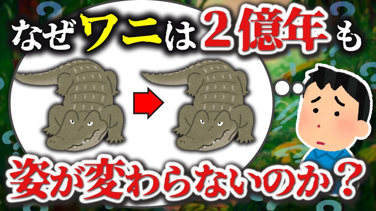 【ゆっくり解説】進化の最終形態とされるワニの進化とは？