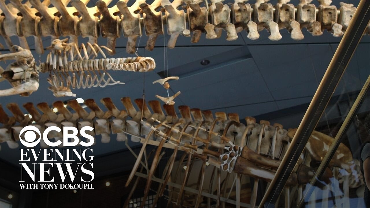 How the New Bedford Whaling Museum turned a bad Google review into free marketing