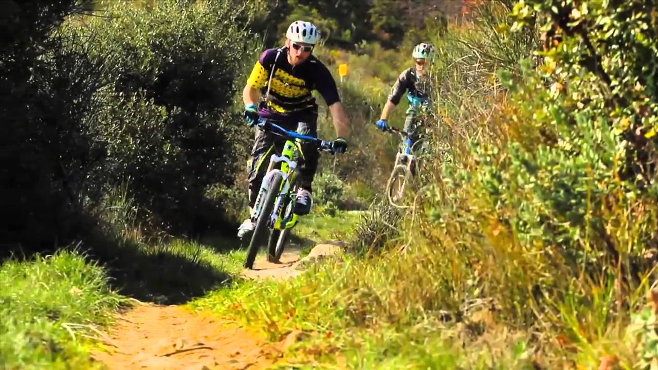 Schwalbe - Hans Dampf
