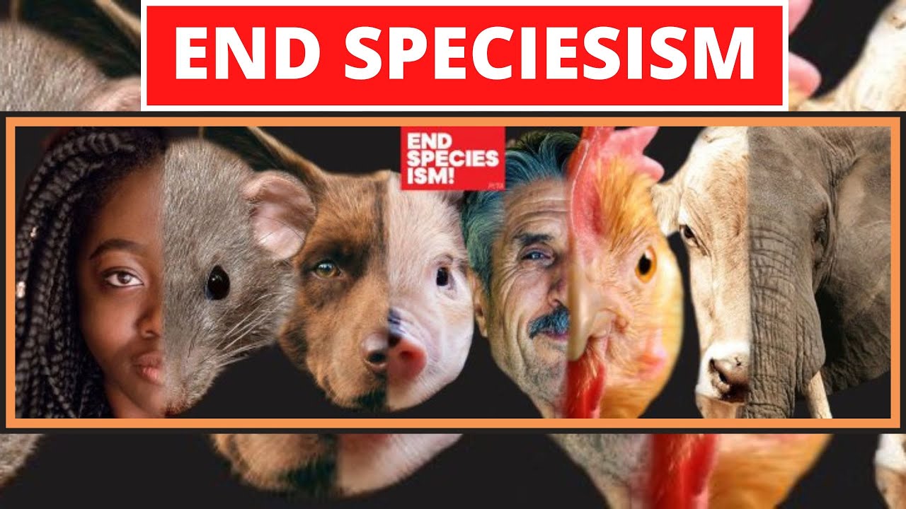 End Speciesism Mini March #endspeciesism #speciesism #species