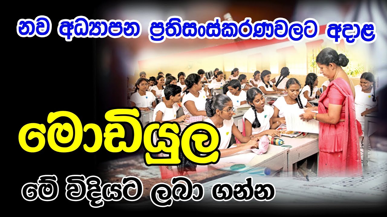 Download Modules for New School Syllabuses | Modules for New Syllabuses  2026