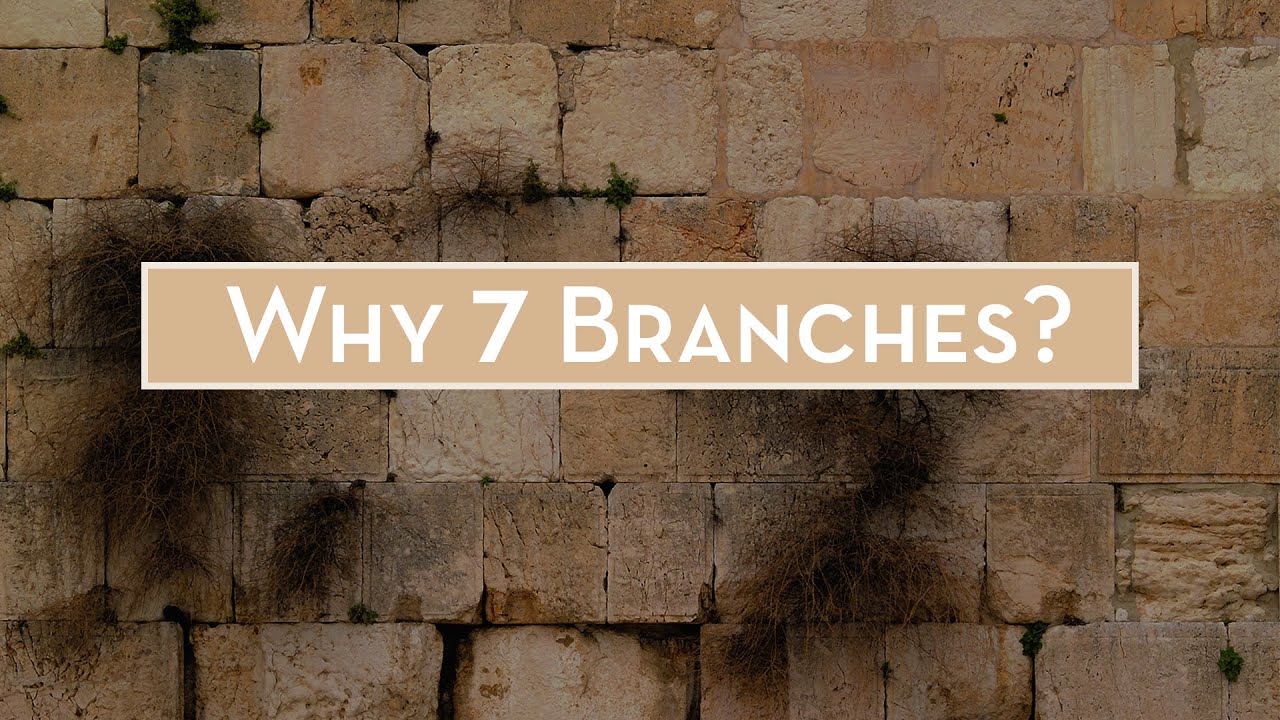 Why 7 Branches? by Chad Holland