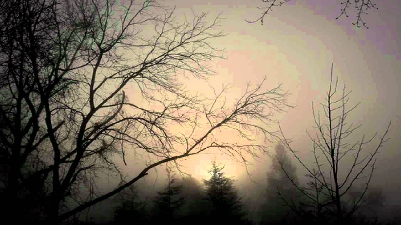1000 Funerals - Moon's Heart