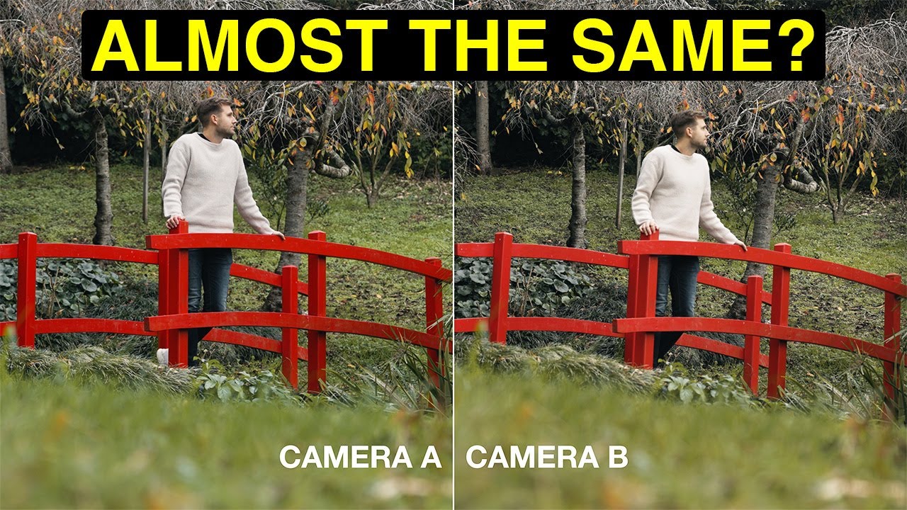 The Sony FX3 vs My Canon R6 // Difference In Color & Dynamic Range - VLOG_04