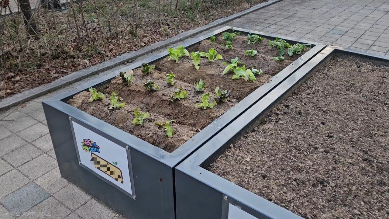 핸로그 | 오늘의 텃밭 기록