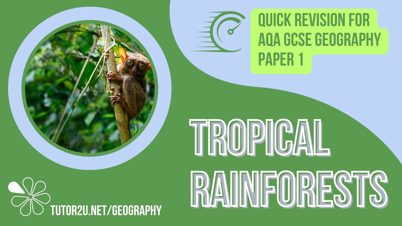 Revise Tropical Rainforests in 35 Minutes! | Quick Revision for GCSE Geography