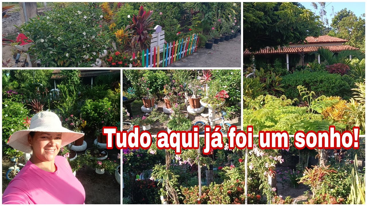 Contando uma pequena parte da minha história/mostrando minhas plantas de sol pleno.