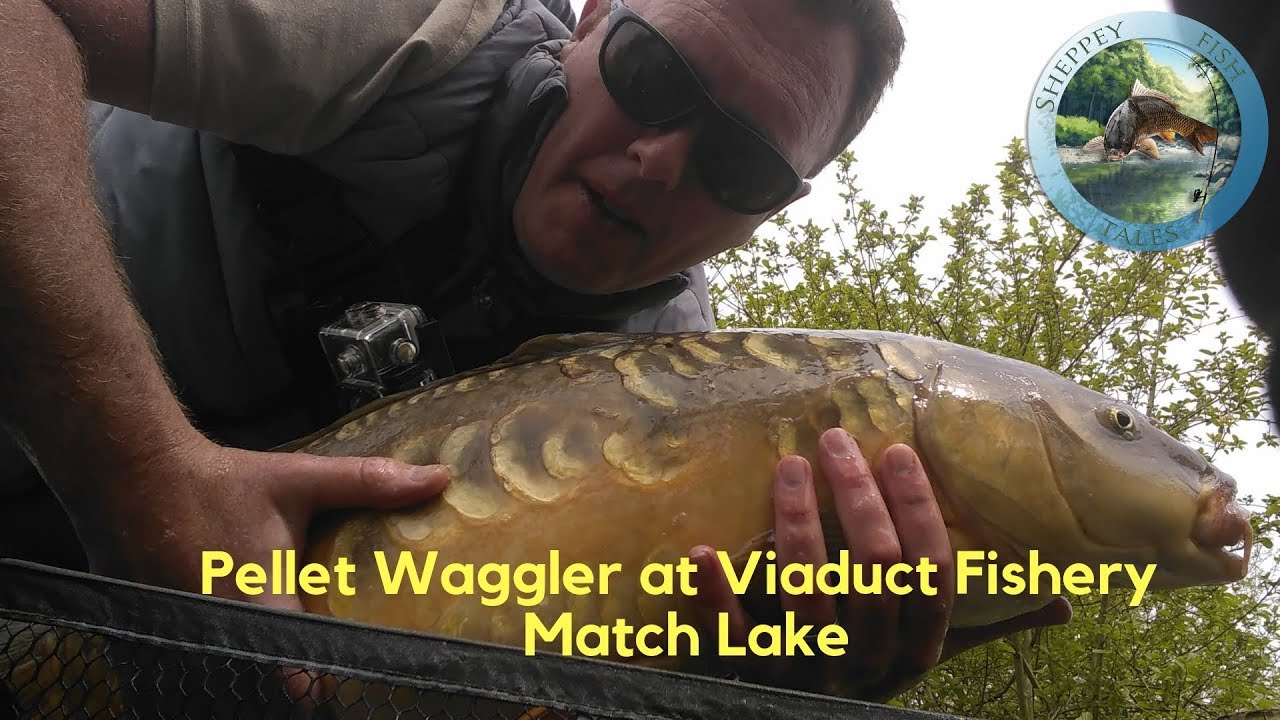 Pellet Waggler Fishing - Viaduct Fishery