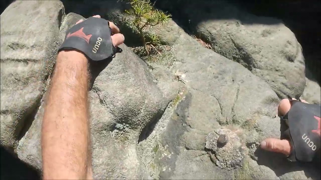 Maitürmchen-Talhangel (VIIa), Rathen