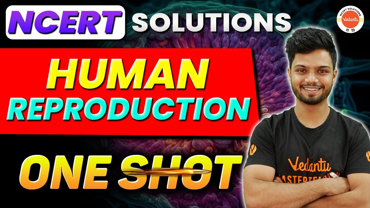 ONE SHOT Human Reproduction 🔥NCERT Complete Solutions | Class 12 Biology | NEET 2024