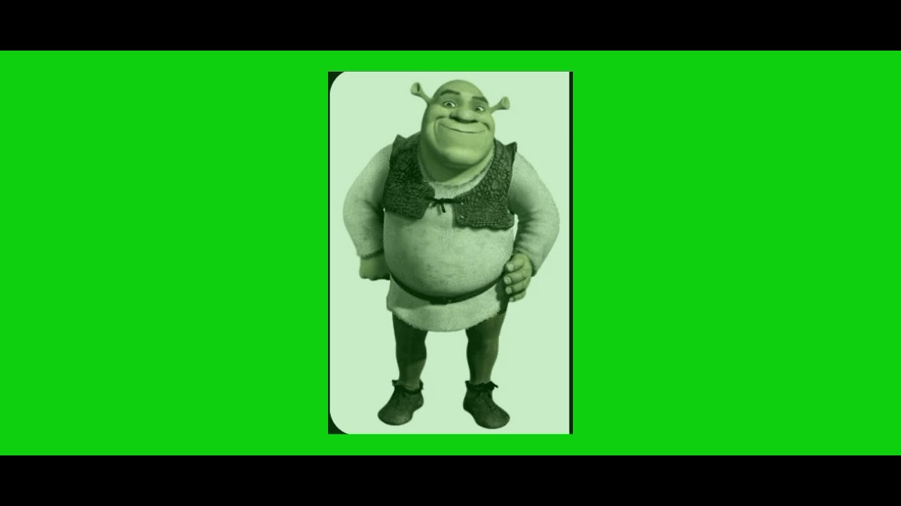 Funky town-shrek 