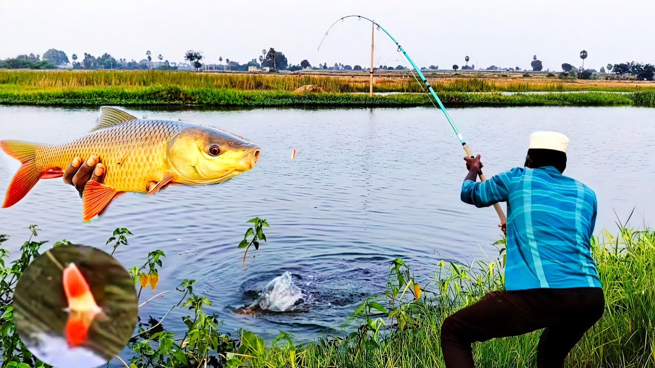 Hook fishing videos | 3hook Rohu fishes catching | village river hunting amazing friends 