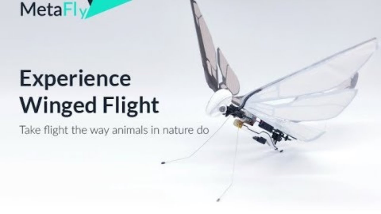 MetaFly - A new flying creature on Indiegogo | Indiegogo