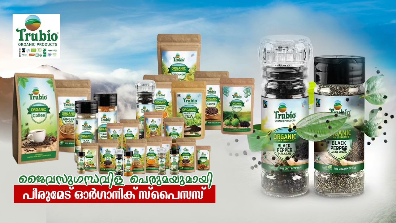 ജൈവസുഗന്ധവിള പെരുമയുമായി പീരുമേട് ഓർഗാനിക് സ്പൈസസ്