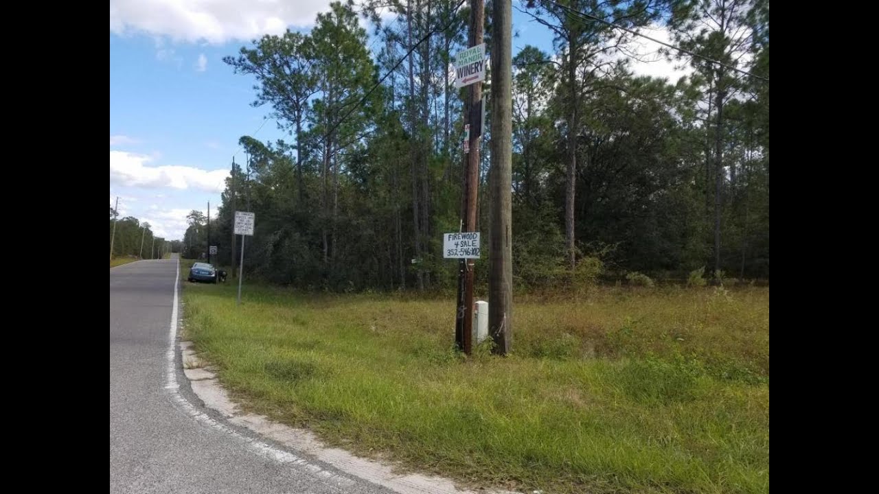 Lots And Land for sale - 308 County Rd 315, Interlachen, FL 32148